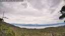 ./images/calvert/fitz-hugh-hecate/20260603/fitz-hugh-hecate20260603_135002M.jpg