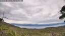 ./images/calvert/fitz-hugh-hecate/20260603/fitz-hugh-hecate20260603_142502M.jpg