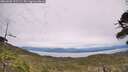 ./images/calvert/fitz-hugh-hecate/20260603/fitz-hugh-hecate20260603_152501M.jpg
