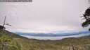 ./images/calvert/fitz-hugh-hecate/20260603/fitz-hugh-hecate20260603_153002M.jpg