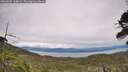 ./images/calvert/fitz-hugh-hecate/20260603/fitz-hugh-hecate20260603_160001M.jpg