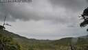./images/calvert/fitz-hugh-hecate/20260603/fitz-hugh-hecate20260603_173002M.jpg