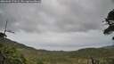 ./images/calvert/fitz-hugh-hecate/20260603/fitz-hugh-hecate20260603_173501M.jpg