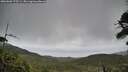 ./images/calvert/fitz-hugh-hecate/20260603/fitz-hugh-hecate20260603_175501M.jpg
