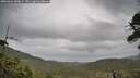 ./images/calvert/fitz-hugh-hecate/20260603/fitz-hugh-hecate20260603_180001M.jpg
