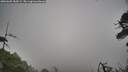 ./images/calvert/fitz-hugh-hecate/20260603/fitz-hugh-hecate20260603_184501M.jpg