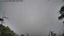./images/calvert/fitz-hugh-hecate/20260603/fitz-hugh-hecate20260603_193501M.jpg