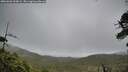 ./images/calvert/fitz-hugh-hecate/20260603/fitz-hugh-hecate20260603_200001M.jpg