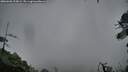 ./images/calvert/fitz-hugh-hecate/20260603/fitz-hugh-hecate20260603_215001M.jpg