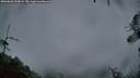 ./images/calvert/fitz-hugh-hecate/20260603/fitz-hugh-hecate20260603_220002M.jpg