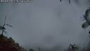 ./images/calvert/fitz-hugh-hecate/20260603/fitz-hugh-hecate20260603_220502M.jpg