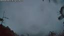 ./images/calvert/fitz-hugh-hecate/20260603/fitz-hugh-hecate20260603_221002M.jpg