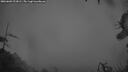 ./images/calvert/fitz-hugh-hecate/20260603/fitz-hugh-hecate20260603_222001M.jpg