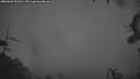 ./images/calvert/fitz-hugh-hecate/20260603/fitz-hugh-hecate20260603_222501M.jpg