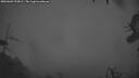 ./images/calvert/fitz-hugh-hecate/20260603/fitz-hugh-hecate20260603_223001M.jpg