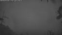 ./images/calvert/fitz-hugh-hecate/20260603/fitz-hugh-hecate20260603_223501M.jpg