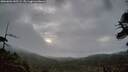 ./images/calvert/fitz-hugh-hecate/20260604/fitz-hugh-hecate20260604_045501M.jpg