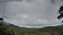 ./images/calvert/fitz-hugh-hecate/20260604/fitz-hugh-hecate20260604_051001M.jpg