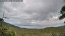./images/calvert/fitz-hugh-hecate/20260604/fitz-hugh-hecate20260604_055001M.jpg
