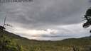 ./images/calvert/fitz-hugh-hecate/20260604/fitz-hugh-hecate20260604_063001M.jpg