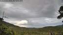 ./images/calvert/fitz-hugh-hecate/20260604/fitz-hugh-hecate20260604_063501M.jpg