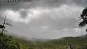 ./images/calvert/fitz-hugh-hecate/20260604/fitz-hugh-hecate20260604_072001M.jpg