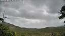 ./images/calvert/fitz-hugh-hecate/20260604/fitz-hugh-hecate20260604_080001M.jpg