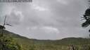 ./images/calvert/fitz-hugh-hecate/20260604/fitz-hugh-hecate20260604_080501M.jpg