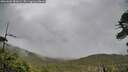 ./images/calvert/fitz-hugh-hecate/20260604/fitz-hugh-hecate20260604_081001M.jpg