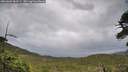 ./images/calvert/fitz-hugh-hecate/20260604/fitz-hugh-hecate20260604_083502M.jpg