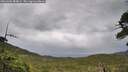 ./images/calvert/fitz-hugh-hecate/20260604/fitz-hugh-hecate20260604_084001M.jpg
