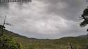 ./images/calvert/fitz-hugh-hecate/20260604/fitz-hugh-hecate20260604_084501M.jpg