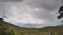 ./images/calvert/fitz-hugh-hecate/20260604/fitz-hugh-hecate20260604_095001M.jpg