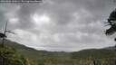 ./images/calvert/fitz-hugh-hecate/20260604/fitz-hugh-hecate20260604_100002M.jpg