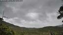 ./images/calvert/fitz-hugh-hecate/20260604/fitz-hugh-hecate20260604_100501M.jpg