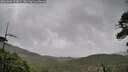 ./images/calvert/fitz-hugh-hecate/20260604/fitz-hugh-hecate20260604_103002M.jpg