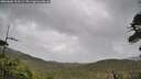 ./images/calvert/fitz-hugh-hecate/20260604/fitz-hugh-hecate20260604_103501M.jpg