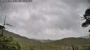 ./images/calvert/fitz-hugh-hecate/20260604/fitz-hugh-hecate20260604_104001M.jpg