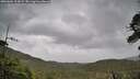 ./images/calvert/fitz-hugh-hecate/20260604/fitz-hugh-hecate20260604_104501M.jpg
