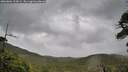 ./images/calvert/fitz-hugh-hecate/20260604/fitz-hugh-hecate20260604_105001M.jpg