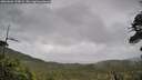 ./images/calvert/fitz-hugh-hecate/20260604/fitz-hugh-hecate20260604_110001M.jpg