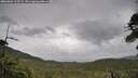 ./images/calvert/fitz-hugh-hecate/20260604/fitz-hugh-hecate20260604_113501M.jpg