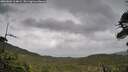 ./images/calvert/fitz-hugh-hecate/20260604/fitz-hugh-hecate20260604_114001M.jpg
