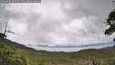 ./images/calvert/fitz-hugh-hecate/20260604/fitz-hugh-hecate20260604_125001M.jpg