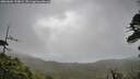 ./images/calvert/fitz-hugh-hecate/20260604/fitz-hugh-hecate20260604_134002M.jpg