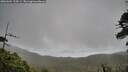 ./images/calvert/fitz-hugh-hecate/20260604/fitz-hugh-hecate20260604_134501M.jpg