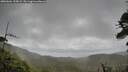 ./images/calvert/fitz-hugh-hecate/20260604/fitz-hugh-hecate20260604_135001M.jpg