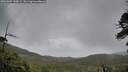 ./images/calvert/fitz-hugh-hecate/20260604/fitz-hugh-hecate20260604_140001M.jpg