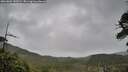 ./images/calvert/fitz-hugh-hecate/20260604/fitz-hugh-hecate20260604_140501M.jpg