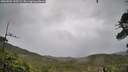 ./images/calvert/fitz-hugh-hecate/20260604/fitz-hugh-hecate20260604_143501M.jpg